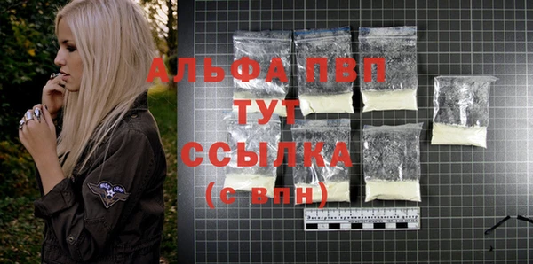 трава Бородино