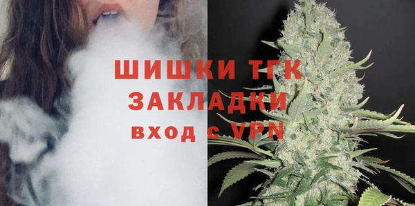 трава Бородино