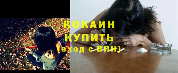 трава Бородино